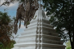 IMG_6701-copy