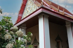 IMG_6960-copy