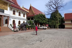 IMG_20240808_092928
