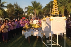 Pile of rice tradition-11-2558