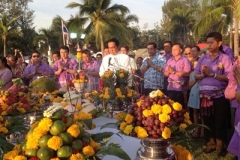 Pile of rice tradition-13-2558