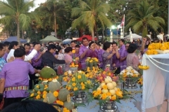 Pile of rice tradition-16-2558