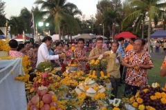 Pile of rice tradition-17-2558