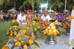 Pile of rice tradition-28-2558