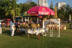 Pile of rice tradition-3-2558