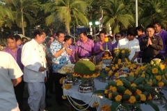 Pile of rice tradition-5-2558