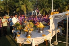 Pile of rice tradition-9-2558