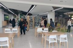 Local-6