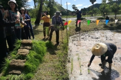 local-information-62-24