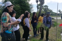 local-information-62-26