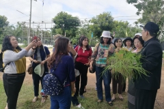 local-information-62-29