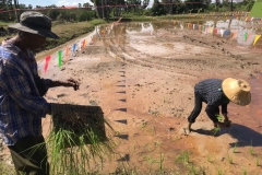 local-information-62-46