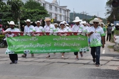 Tradition of Phaya Yom23