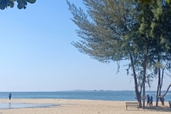IMG20211205105655