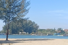 IMG20211205105702