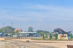 IMG20211205105707