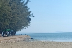 IMG20211205105718