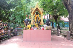 SaSiliam-1