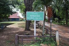 SaSiliam-60