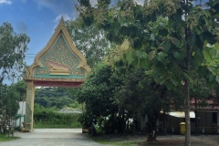 watshejun-4