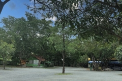 watshejun-8