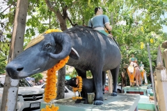 Intharam-139