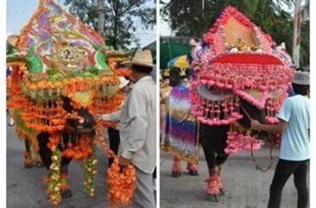 ประเภทสวยงาม