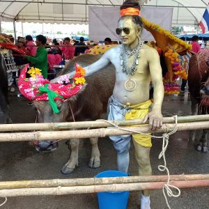 วิ่งควาย 2561_22