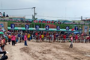 วิ่งควาย 2561_26