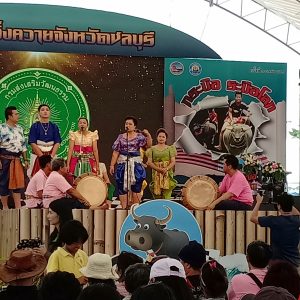 วิ่งควาย 2561_7