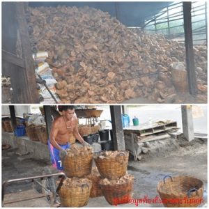 เชื้องเพลิง