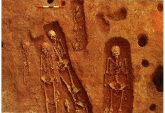 โครงกระดูกมนุษ์